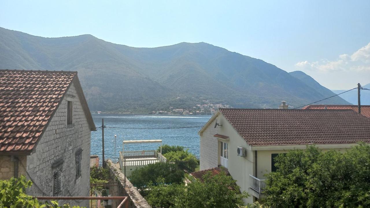 Vukasovic Cattaro