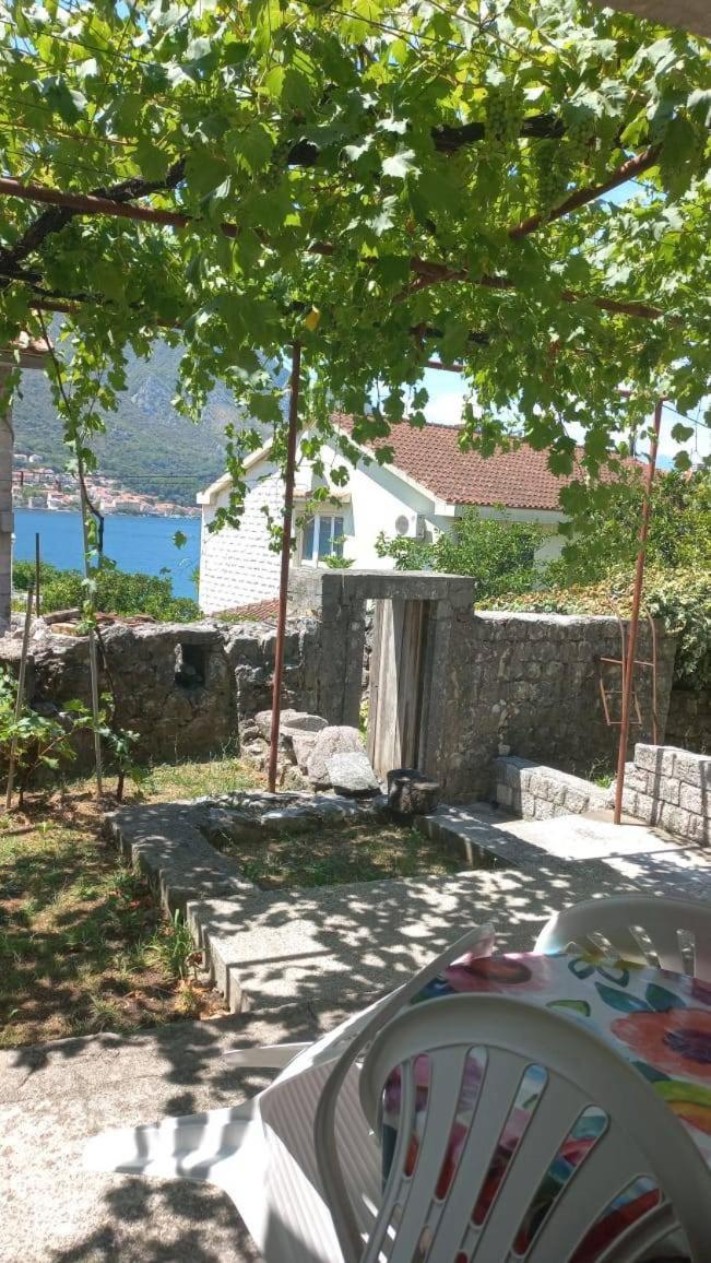 Vukasovic * Cattaro